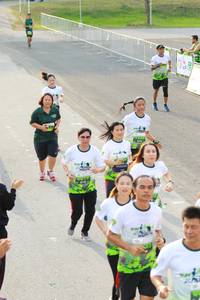 BIB: 
                            <button type="button" onclick="openModal(3552624)" class="btn btn-primary btn-sm float-right btn-popup" data-toggle="modal" data-target=".modal-high-quality">
                        <i class="fas fa-shopping-cart"></i> Add to Cart
                    </button>
                                            <button type="button" onclick="isThisMe(3552624, true)" class="btn btn-success btn-sm float-right btn-popup btn-isme hidden" data-toggle="tooltip" data-placement="bottom" title="นี่คือรูปของคุณใช่ไหม คลิกที่นี่เพื่อเอาเข้าอัลบั้ม">
                        <i class="fas fa-plus"></i> Add to album
                    </button>
                    <button type="button" onclick="isThisMe(3552624, false)" class="btn btn-warning btn-sm float-right btn-popup btn-isnotme hidden">
                        <i class="fas fa-ban"></i> Remove from album
                    </button>